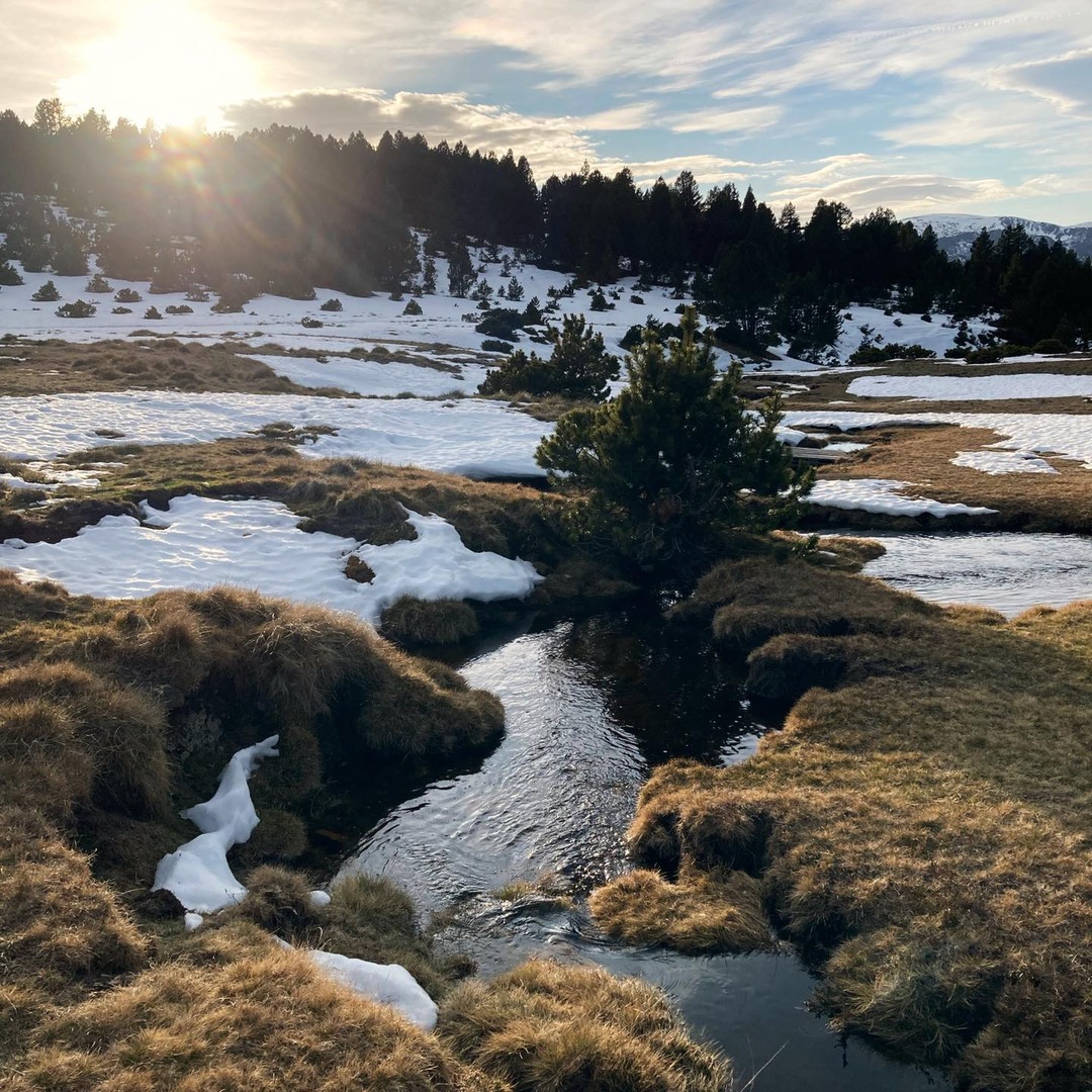 Couleurs du soir dans les Pyrénées.
#photomontagne #pyreneesariegeoises